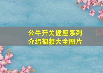 公牛开关插座系列介绍视频大全图片