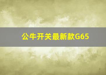 公牛开关最新款G65