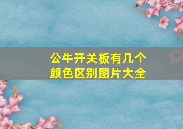 公牛开关板有几个颜色区别图片大全