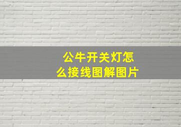 公牛开关灯怎么接线图解图片