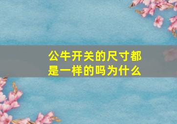 公牛开关的尺寸都是一样的吗为什么