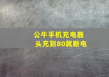 公牛手机充电器头充到80就断电