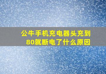 公牛手机充电器头充到80就断电了什么原因