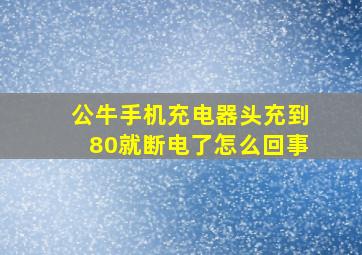 公牛手机充电器头充到80就断电了怎么回事