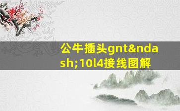 公牛插头gnt–10l4接线图解