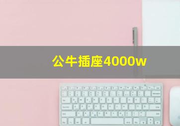 公牛插座4000w