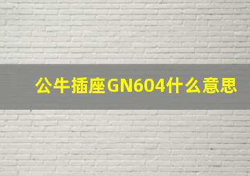 公牛插座GN604什么意思