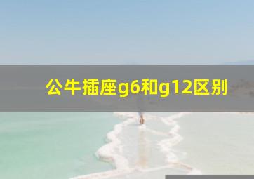 公牛插座g6和g12区别