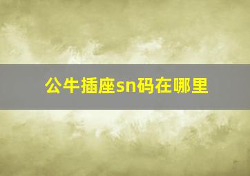 公牛插座sn码在哪里