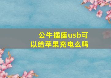 公牛插座usb可以给苹果充电么吗