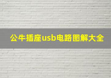 公牛插座usb电路图解大全