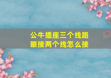 公牛插座三个线路眼接两个线怎么接