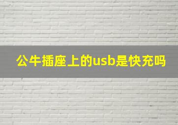 公牛插座上的usb是快充吗