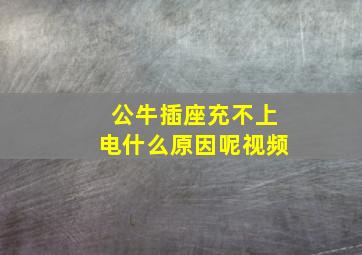 公牛插座充不上电什么原因呢视频