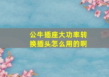 公牛插座大功率转换插头怎么用的啊