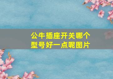 公牛插座开关哪个型号好一点呢图片