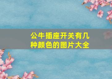 公牛插座开关有几种颜色的图片大全