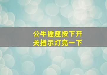 公牛插座按下开关指示灯亮一下