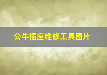 公牛插座维修工具图片