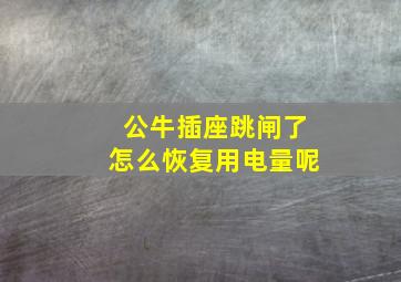 公牛插座跳闸了怎么恢复用电量呢