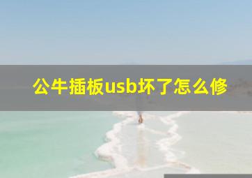 公牛插板usb坏了怎么修