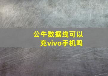 公牛数据线可以充vivo手机吗