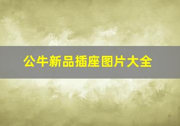 公牛新品插座图片大全