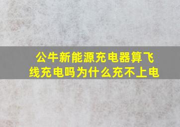 公牛新能源充电器算飞线充电吗为什么充不上电