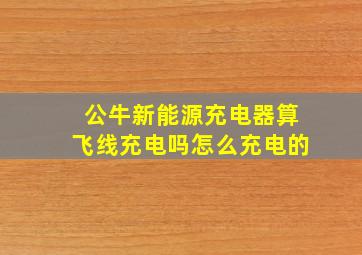 公牛新能源充电器算飞线充电吗怎么充电的