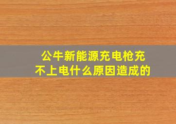 公牛新能源充电枪充不上电什么原因造成的