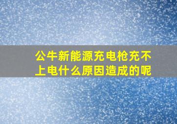 公牛新能源充电枪充不上电什么原因造成的呢