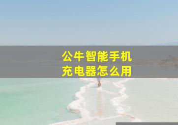 公牛智能手机充电器怎么用