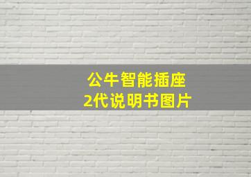 公牛智能插座2代说明书图片