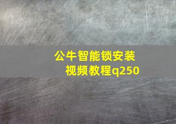 公牛智能锁安装视频教程q250