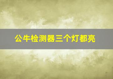 公牛检测器三个灯都亮