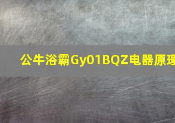 公牛浴霸Gy01BQZ电器原理