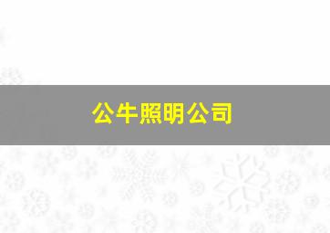 公牛照明公司