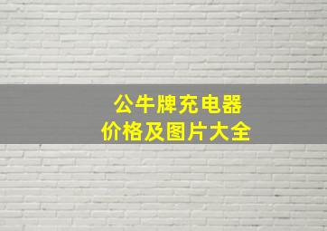 公牛牌充电器价格及图片大全