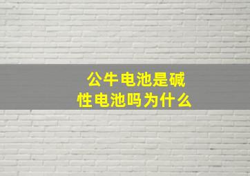 公牛电池是碱性电池吗为什么