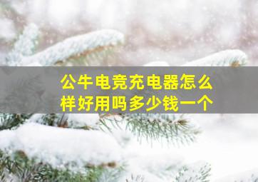 公牛电竞充电器怎么样好用吗多少钱一个