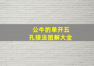 公牛的单开五孔接法图解大全