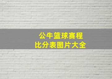 公牛篮球赛程比分表图片大全