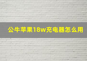 公牛苹果18w充电器怎么用