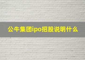 公牛集团ipo招股说明什么