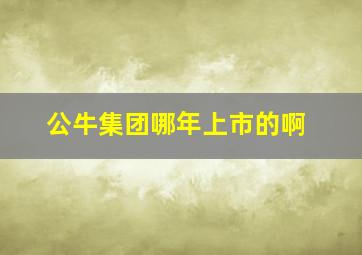 公牛集团哪年上市的啊