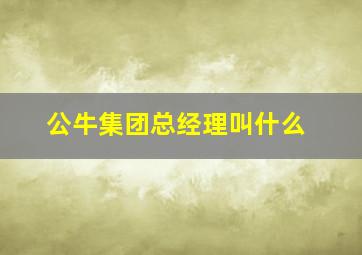 公牛集团总经理叫什么