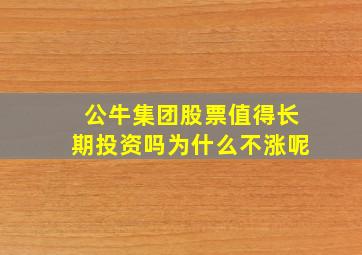 公牛集团股票值得长期投资吗为什么不涨呢