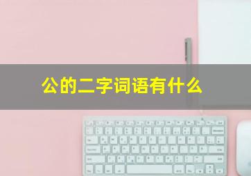 公的二字词语有什么