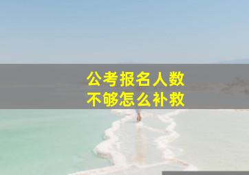 公考报名人数不够怎么补救