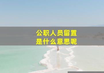 公职人员留置是什么意思呢